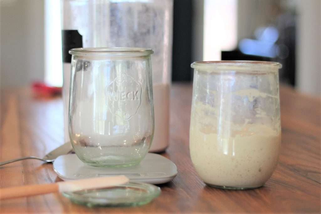 Sourdough starter jars