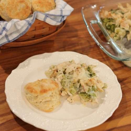 Chicken and Broccoli Alfredo with biscuit on plate