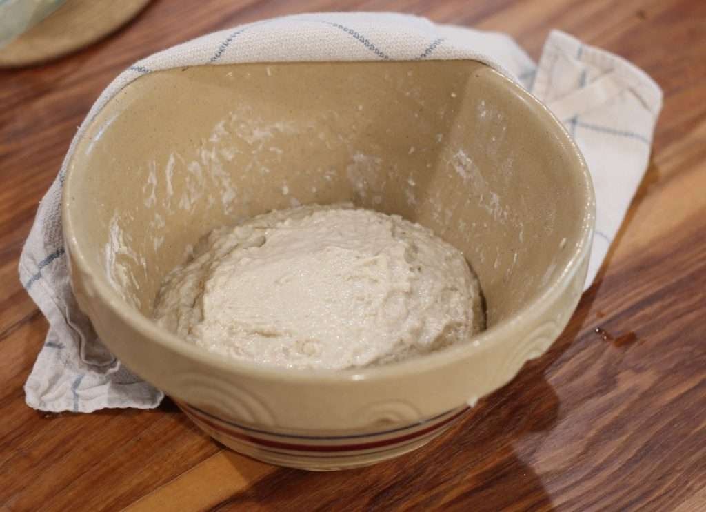 Sourdough dough in bowl