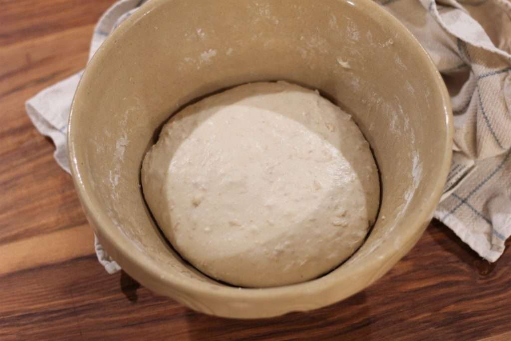 Sourdough dough in bowl