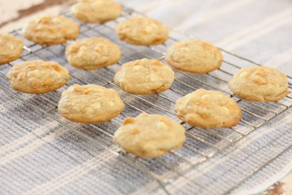 butterscotch white chocolate chip cookies on cooling rack