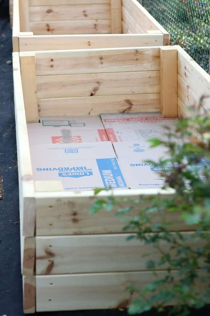 Raised garden bed box with cardboard on the bottom