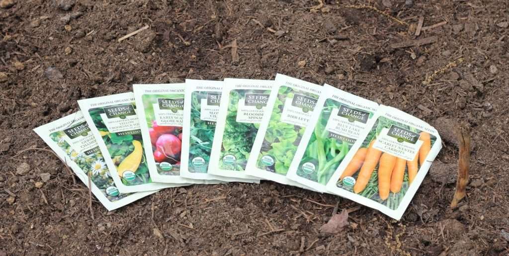 Packs of vegetable seeds on a bed of dirt