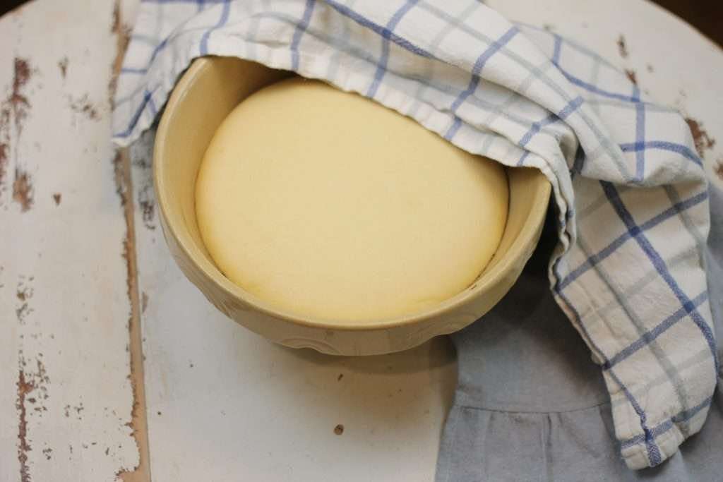 Bread dough that has risen in large bowl.