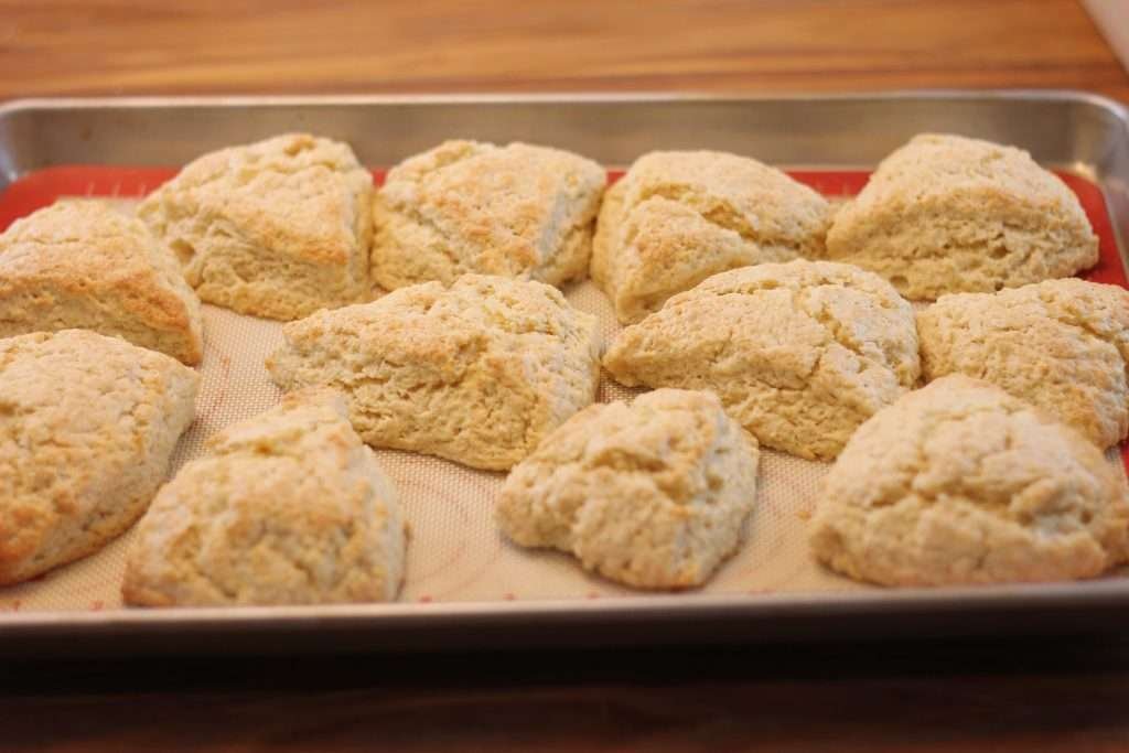 Eggnog Scones baked on pan. 